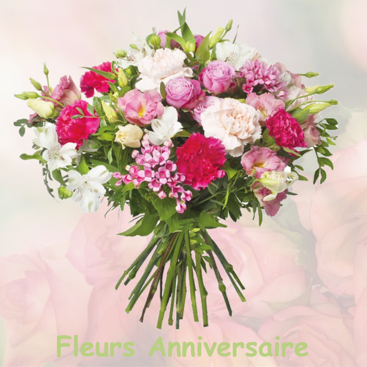 fleurs anniversaire VILLENEUVE-LES-BOULOC