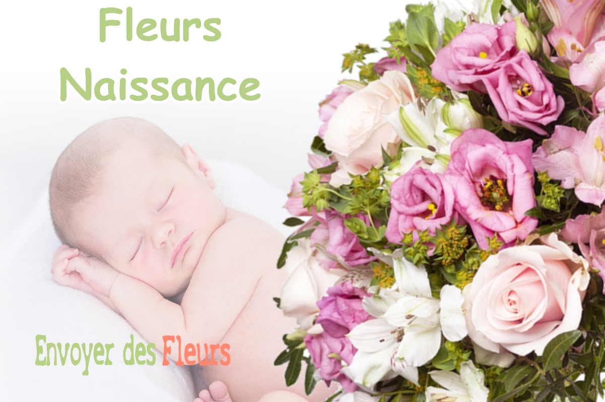 lIVRAISON FLEURS NAISSANCE à VILLENEUVE-LES-BOULOC