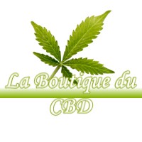 LA BOUTIQUE DU CBD VILLENEUVE-LES-BOULOC 